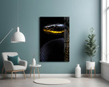 Black and Yellow Viper Glass Wall Art || Designer Collection