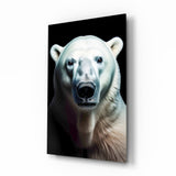 Polar Bear's Gaze Glass Wall Art || Designer Collection