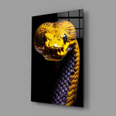 Golden Headed Snake Glass Wall Art || Designer Collection