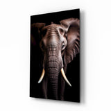 The Wise Look of the Elephant Glass Wall Art || Designer Collection