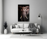 The Wise Look of the Elephant Glass Wall Art || Designer Collection