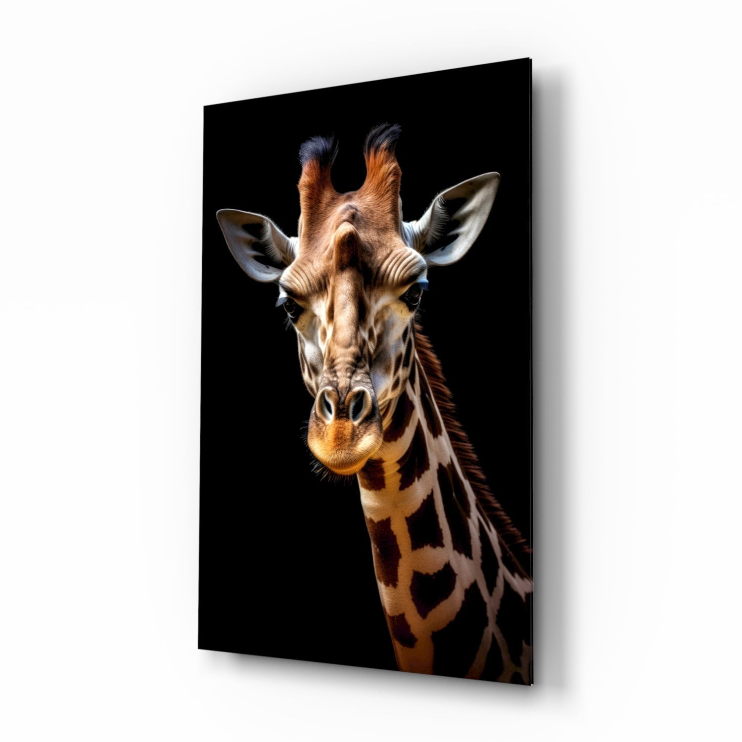 The Gentle Look of a Giraffe Glass Wall Art || Designer Collection
