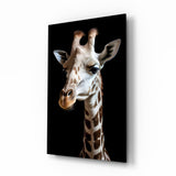 Light Colored Giraffe Portrait Glass Wall Art || Designer Collection