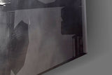 Elegant Feather on Glass Wall Art