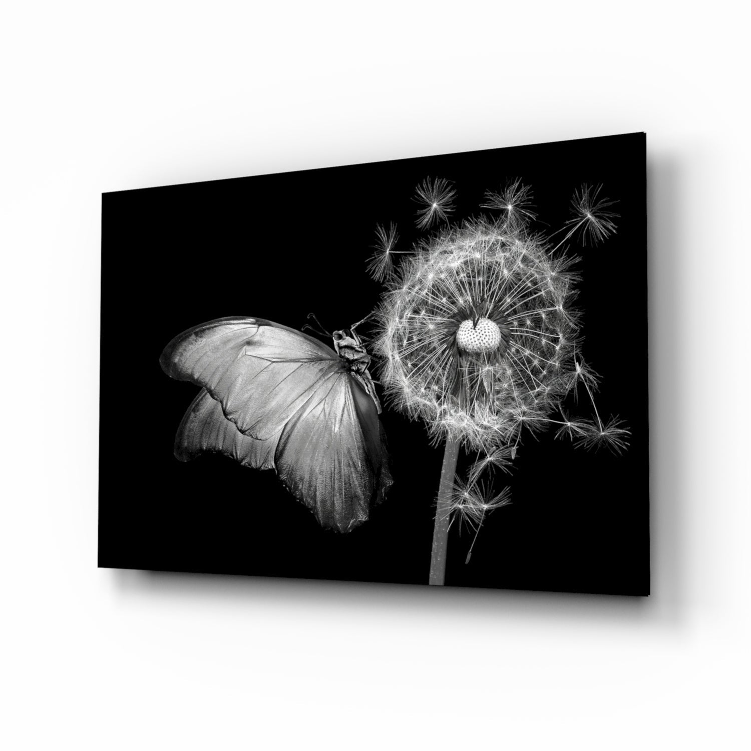 Butterfly & Dandelion Glass Wall Art