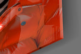 Stylish Zebra in Red Glass Wall Art
