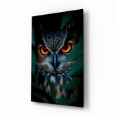 Eerie Owl Eyes Glass Wall Art