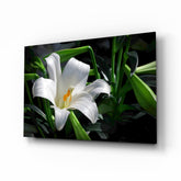 Elegant White Lily Glass Wall Art