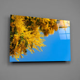 Golden Blossoms Against Blue Sky Glass Wall Art