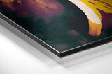Brushed Aluminium Dibond Wall Art