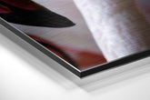 Brushed Aluminium Dibond Wall Art
