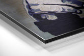 Brushed Aluminium Dibond Wall Art