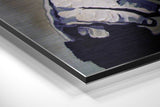 Brushed Aluminium Dibond Wall Art