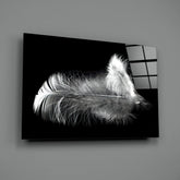 Feather Glass Wall Art.