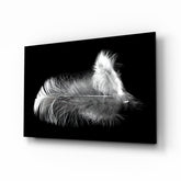 Feather Glass Wall Art.