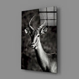 Deer Glass Wall Art.