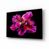Purple Flower Glass Wall Art.
