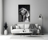 Innocent Dog Glass Wall Art.