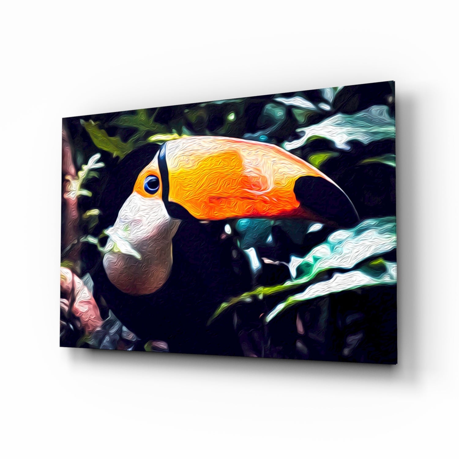 Toco Toucan Glass Wall Art.