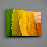 Autumn Leaves Glass Wall Art.