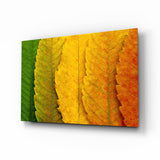 Autumn Leaves Glass Wall Art.