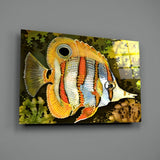 Orange Fish Glass Wall Art.