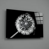 Dandelion Glass Wall Art.