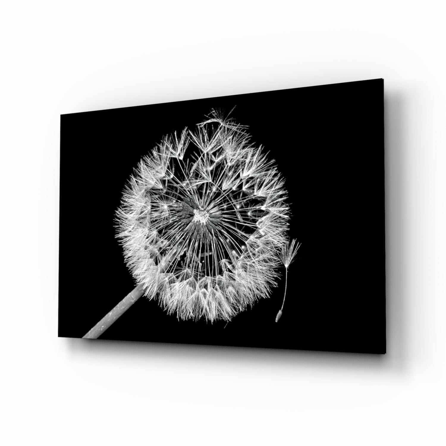 Dandelion Glass Wall Art.