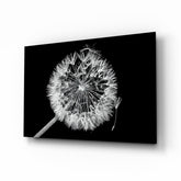 Dandelion Glass Wall Art.