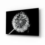 Dandelion Glass Wall Art.