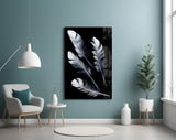 Feather Glass Wall Art.