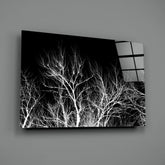 Night of the Tree Glass Wall Art.
