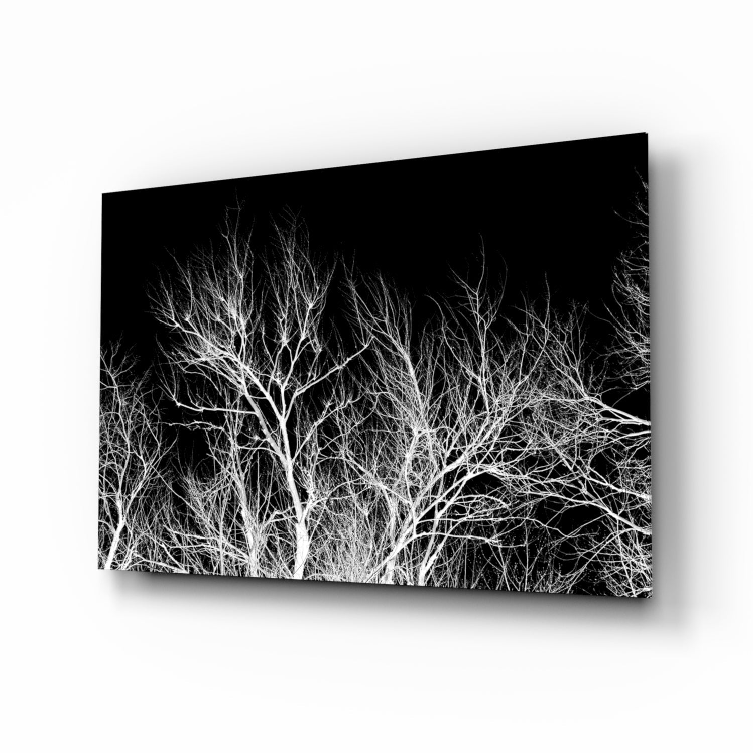 Night of the Tree Glass Wall Art.