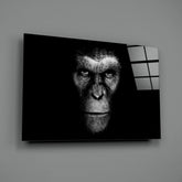 Gorilla Glass Wall Art.