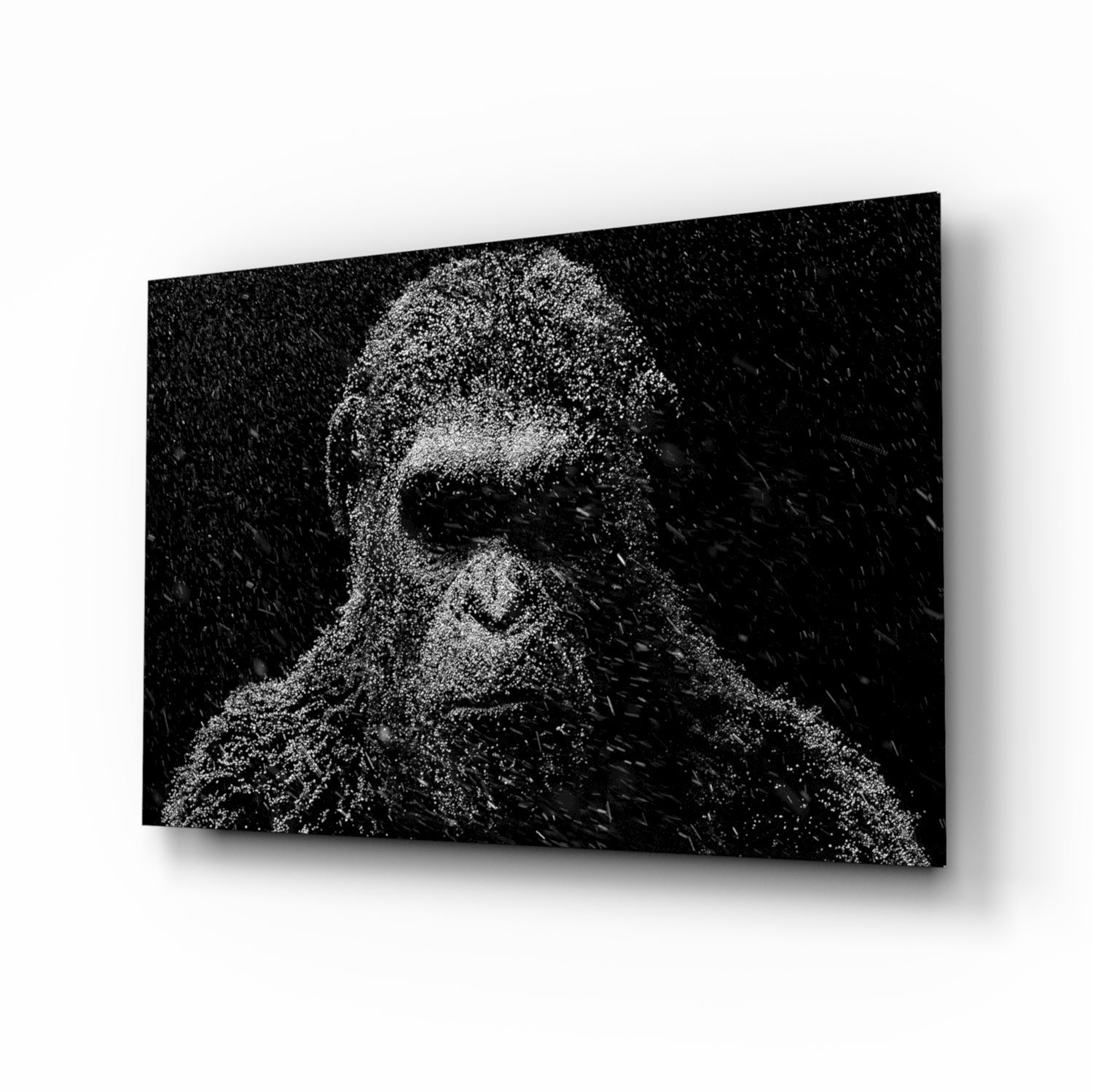 Gorilla Glass Wall Art.