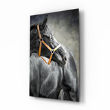 Horse Glass Wall Art.