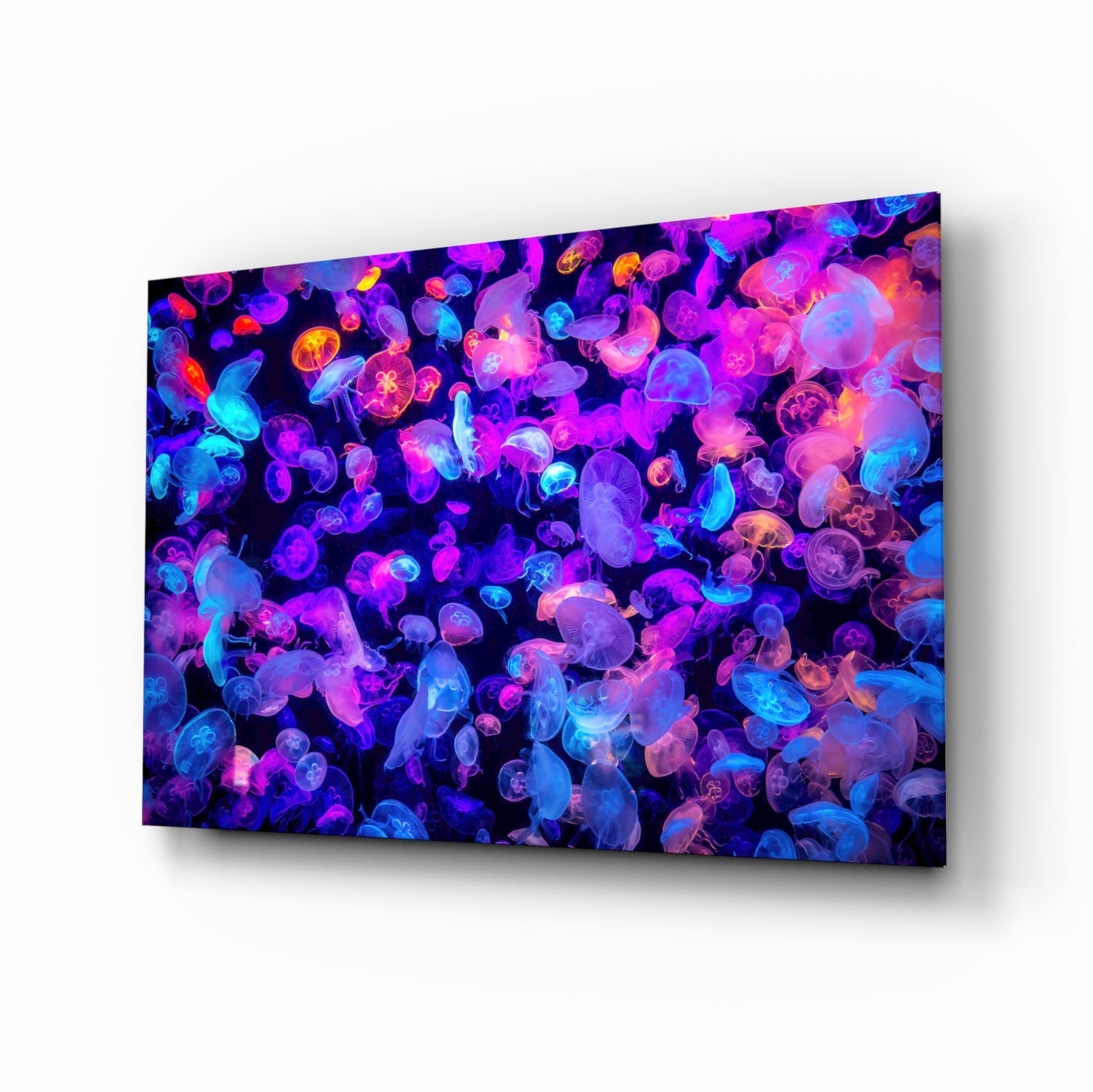 Jellyfish Glass Wall Art.