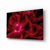 Malvales Flower Glass Wall Art.