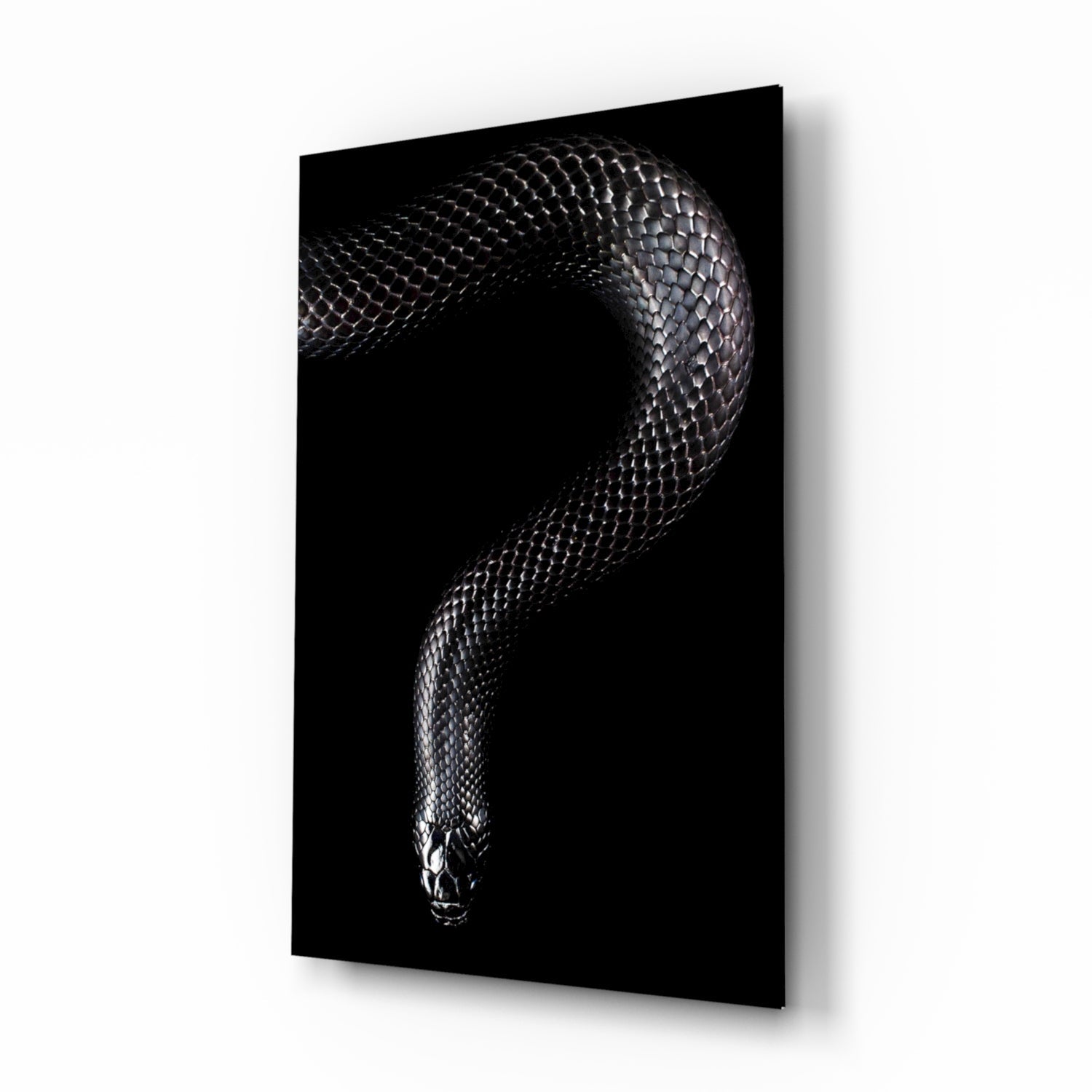 Snake Glass Wall Art.