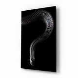 Snake Glass Wall Art.