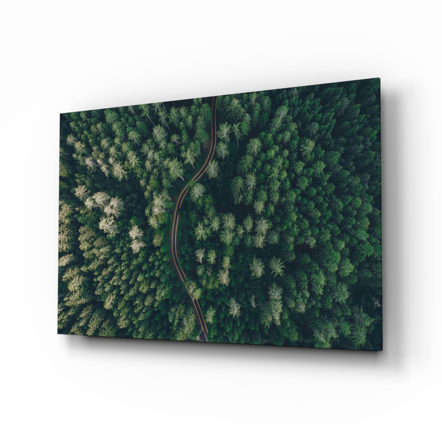Forest Glass Wall Art.