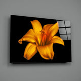 Lily Glass Wall Art.