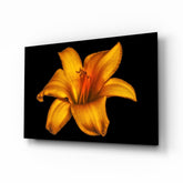 Lily Glass Wall Art.