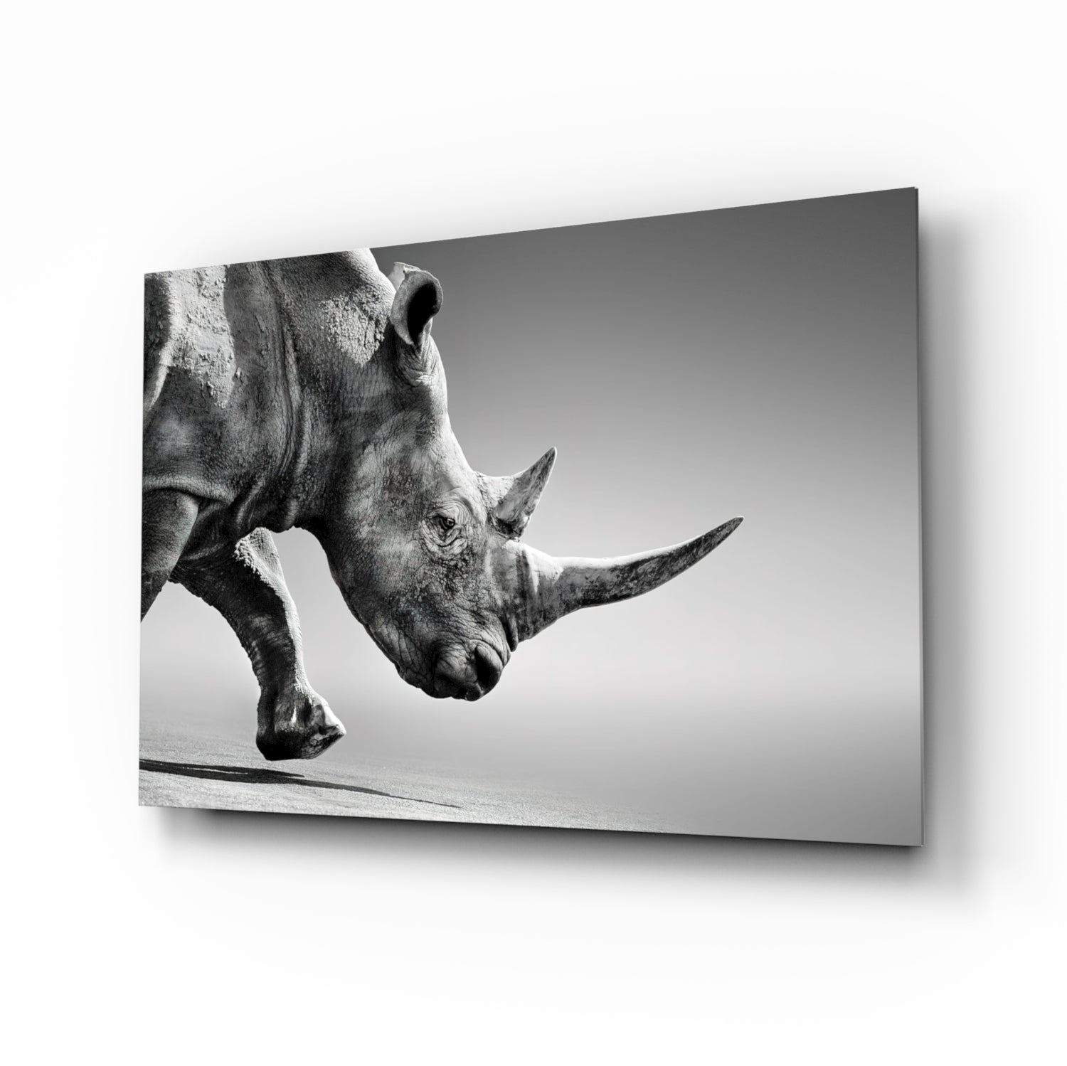 Black Rhino Glass Wall Art.