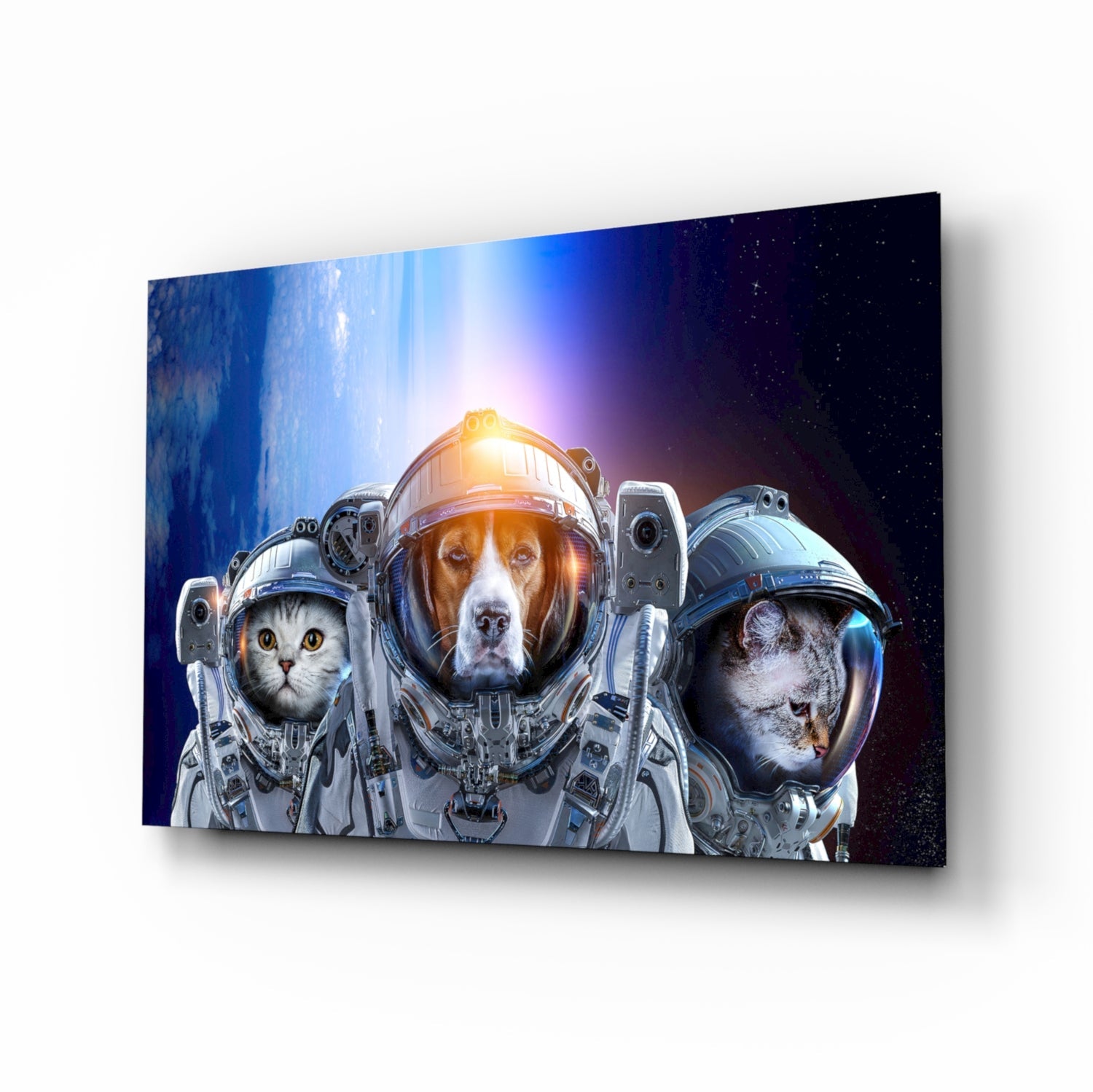 Space Team Glass Wall Art.
