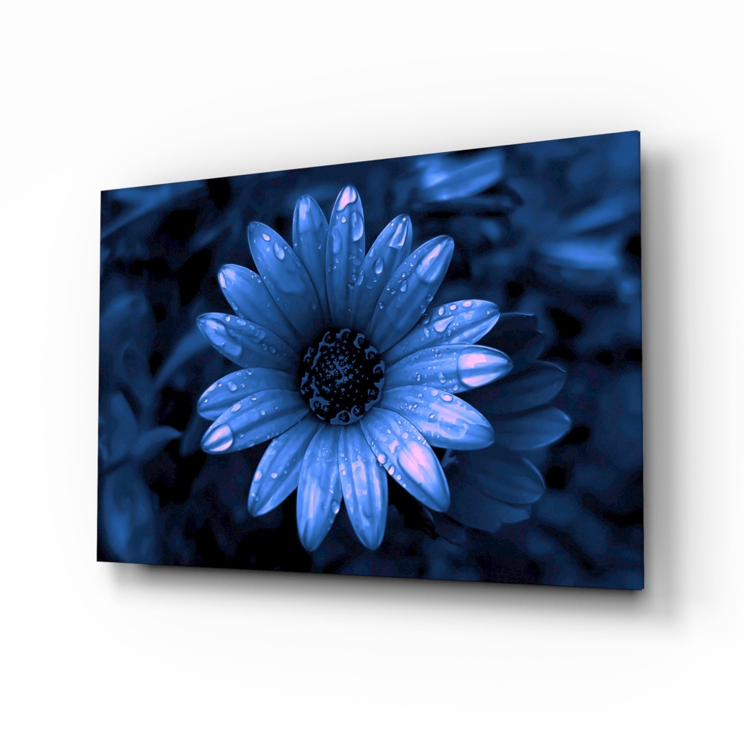 Flower Glass Wall Art.