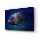 Queen Angelfish Glass Art.