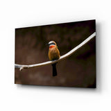 Bee Eater Glass Art.