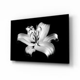 Lilies Glass Wall Art.