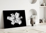 Lilies Glass Wall Art.